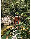 Tiny Cottons Multicolor Stripes Long Short - Multicolor - 100% Cotton Shorts
