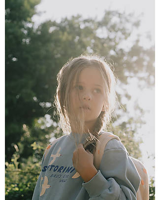 Tiny Cottons Santorini Birds Sweatshirt - Washed Blue - 100% Organic Cotton Sweatshirts