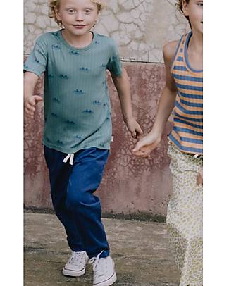 Tiny Cottons Solid Pant with Drawstring - Ultramarine - 100% Cotton Trousers