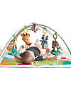 Tiny Love Gymini Deluxe Activity Mat - Into the Forest - with Music Toy Baby Gym