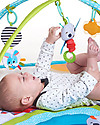 Tiny Love Gymini Sunny Day Activity Mat - Meadow Days - with Music Toy Baby Gym