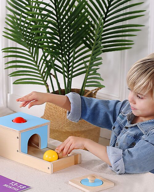 Tooky Toy Multisensory Educational Box - 22 Pieces - 32.5 x 27 x 14 cm - 6m+ Sensory Games_