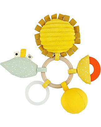 Trixie Activity Ring Mr Lion - Stimulates Sight Hearing and Touch Travel Games