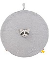 Trixie Baby Comforter, Mr Racoon - Blanket, Animal Toy and Dummy Clip! Doudou & Comforters