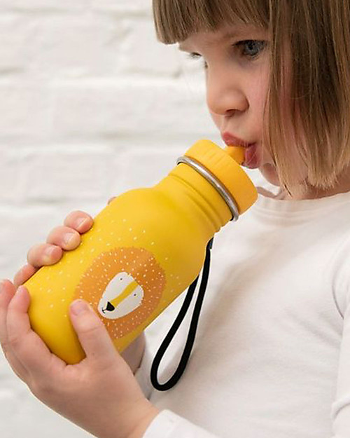 Trixie Bottle in Stainless Steel - 350 ml - Mr Lion Non-Thermal Water Bottles