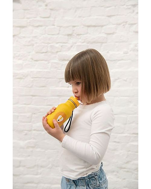 Trixie Bottle in Stainless Steel - 500 ml - Mr Lion - Yellow Non-Thermal Water Bottles
