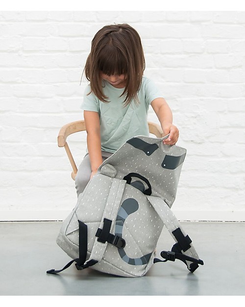 TRIXIE Mr. Raccoon Satchel