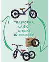 Trybike Grey Bike 2 in 1 + Trike Conversion Kit Tricycles
