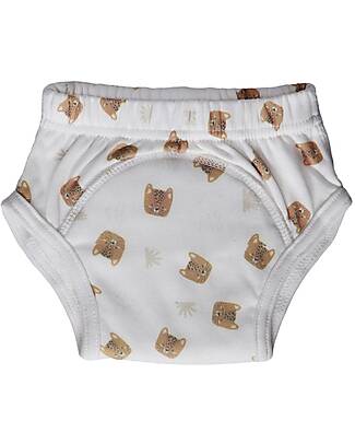 Zoocchini Organic Girls Underwear 3 Piece - Coral Caribe 4T-5T