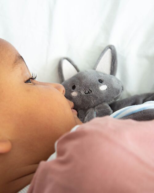 Tryco Baby Doudou Bruce the Bat - 40x20 cm - 0+ Doudou & Comforters