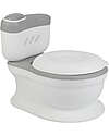 Tryco Baby Educational Potty - Gray - With Flushing Sound Potties