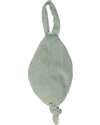 Tryco Baby Leaf Pacifier Cloth - Sage Green - Super Soft Doudou & Comforters