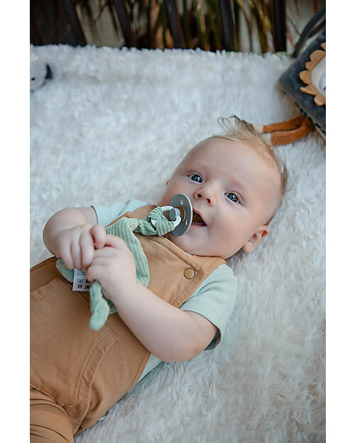 Tryco Baby Leaf Pacifier Cloth - Sage Green - Super Soft Doudou & Comforters