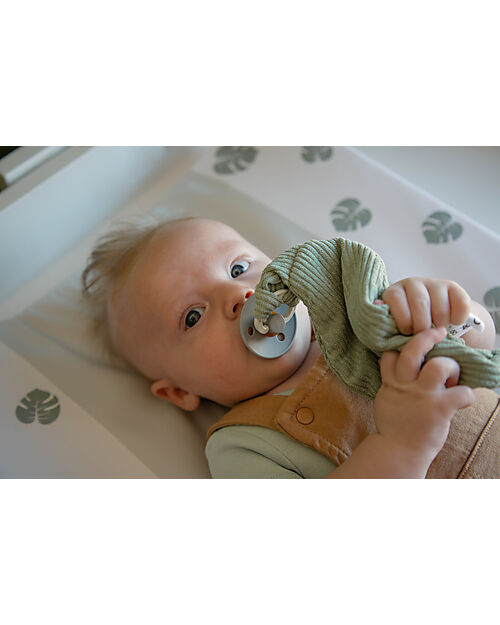 Tryco Baby Leaf Pacifier Cloth - Sage Green - Super Soft Doudou & Comforters