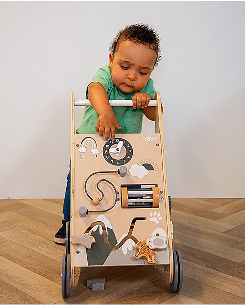 Tryco Baby Nature Wooden First Steps Trolley with Blocks - 12+ m Push-Toys