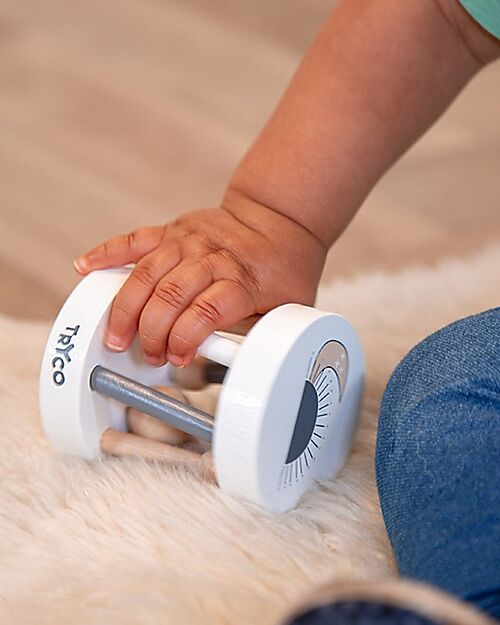 Tryco Baby Rotating Wooden Rattle - Non-toxic Water Paints - 12+ m Wooden Stacking Toys