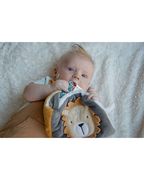 Tryco Baby Soft Multi-Activity Book- Jungle - 0+ Books