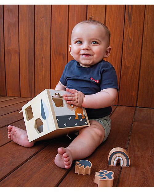 Tryco Baby Wooden Interlocking Geometric Shapes Box - 7 Different Shapes - 12+ m Wooden Stacking Toys