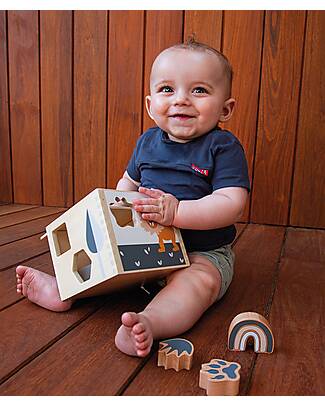 Tryco Baby Wooden Interlocking Geometric Shapes Box - 7 Different Shapes - 12+ m Wooden Stacking Toys