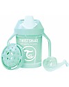 Twistshake Spill Free Mini Sippy Cup Fruit Splash with Fruit Mixer 230 ml, Menta - BPA, BPS and BPF-free! Cups