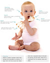 Vulli So Pure Original Sophie the Giraffe - Natural Rubber Rattles