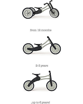 bikes for 12 month olds