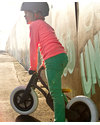 Wishbone Design Studio Wishbone Bike Recycled 3 in 1 (Push, Trike + Balance Bike) - From 1 to 6 years! Balance Bikes