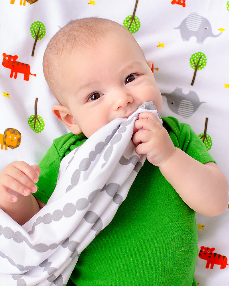 bambini Babys 100% Cotton Flannel Receiving Blanket