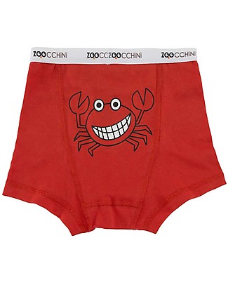 Zoocchini Boy Boxer Set of 3, Cheeky Chompers - 100% organic cotton Training Pants