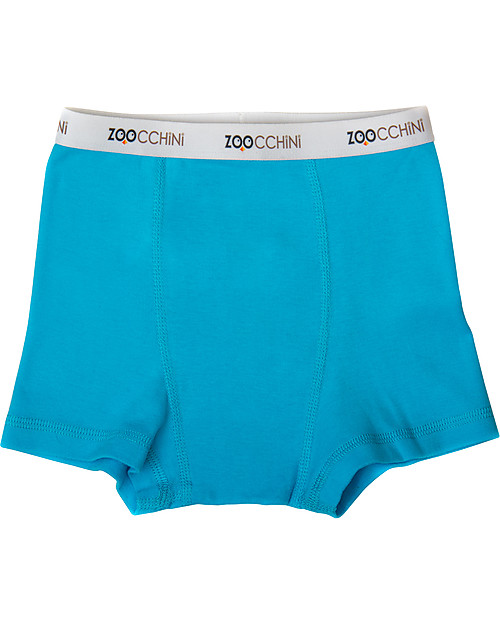 Zoocchini Boy Boxer Set of 3, Monster Mash - 100% organic cotton Briefs
