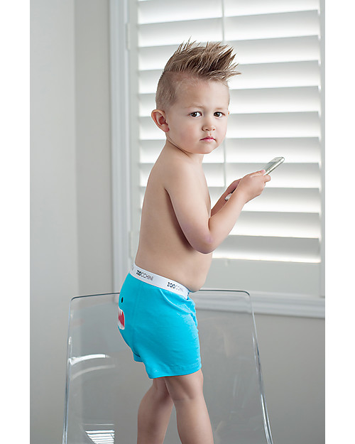Zoocchini Boy Boxer Set of 3, Monster Mash - 100% organic cotton Briefs