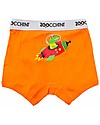 Zoocchini Boy Boxer - Set of 3 - Space Force - 100% Organic Cotton Briefs