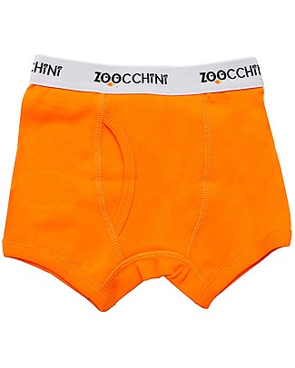 Zoocchini Boy Boxer - Set of 3 - Space Force - 100% Organic Cotton Training Pants