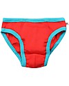 Zoocchini Boys Briefs Days of the Week - Set 0f 7 - 100% Organic Cotton Briefs