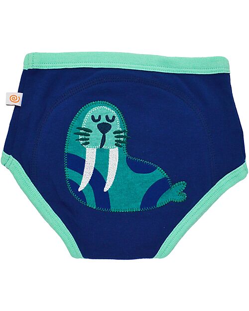 Zoocchini Girls Padded Training Pant Set, 3 pieces, Sea Crew - 100% organic cotton Briefs