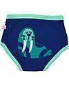 Zoocchini Girls Padded Training Pant Set, 3 pieces, Sea Crew - 100% organic cotton Briefs