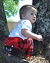 Zoocchini Grip+Easy Anti-slip Leggings & Socks Set - Bosley the Bear Leggings
