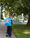 Zoocchini Kids Backpack Pals, Sherman the Shark - 33 x 26.5 x 10 cm Kindergarten Backpacks