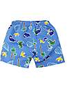 Zoocchini Swim Shorts - Breathable Fabric - Devin the Dino - UPF 50+ Swimming Trunks
