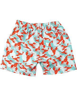 Zoocchini Swim Shorts - Breathable Fabric - Logan l'Aragosta - UPF 50+ Swimming Trunks