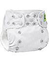 Zoocchini Washable, Pocket Diaper - Koala - 2 Inserts Included - 3-16 kg Washable Nappies