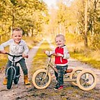 Trybike