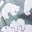 GO - Universal Waterproof 5-in-1 Footmuff - Polar Bears GO - Universal Waterproof 5-in-1 Footmuff - Polar Bears