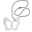 Teether White Butterfly & Teething Necklace 2-in-1 - Pearl - 100% Food Grade Silicone Teether White Butterfly & Teething Necklace 2-in-1 - Pearl - 100% Food Grade Silicone