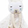 Doudou Comforter Lovie - Llama - 100% Cotton Muslin Doudou Comforter Lovie - Llama - 100% Cotton Muslin