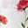 Swaddle Blanket 120 x 120 cm, Wild Mums - 100% Cotton Muslin Swaddle Blanket 120 x 120 cm, Wild Mums - 100% Cotton Muslin