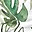 Burp Cloth, Tropical Leaf - 4 Quilted Layers of 100% Cotton Muslin Burp Cloth, Tropical Leaf - 4 Quilted Layers of 100% Cotton Muslin