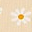 Sunshine Bottle Holder - Daisies - Organic cotton