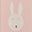 Bottle in Stainless Steel - 350 ml - Mrs Rabbit Bottle in Stainless Steel - 350 ml - Mrs Rabbit