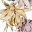 Flower Kit - Whisper - All Accessories Included! Flower Kit - Whisper - All Accessories Included!